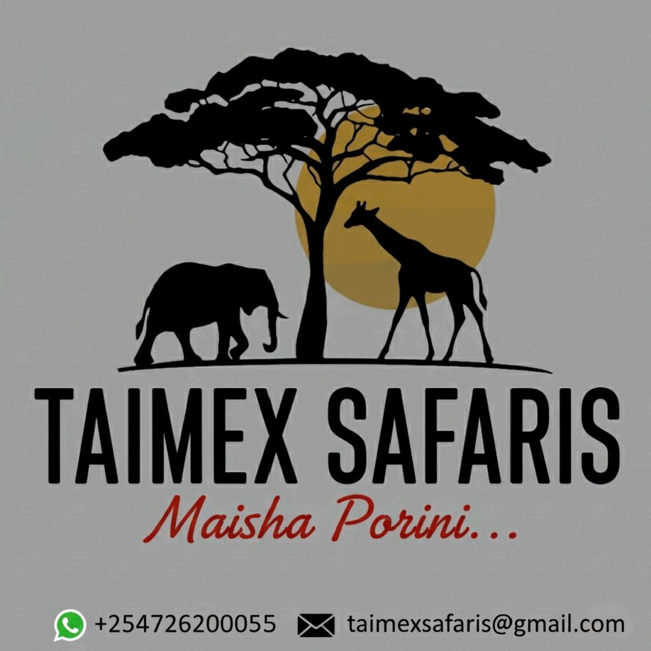 Taimex Safaris Logo